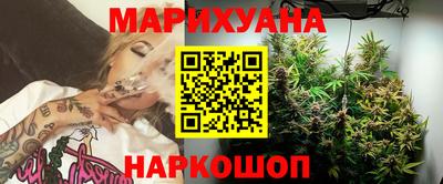 гашик Камышлов