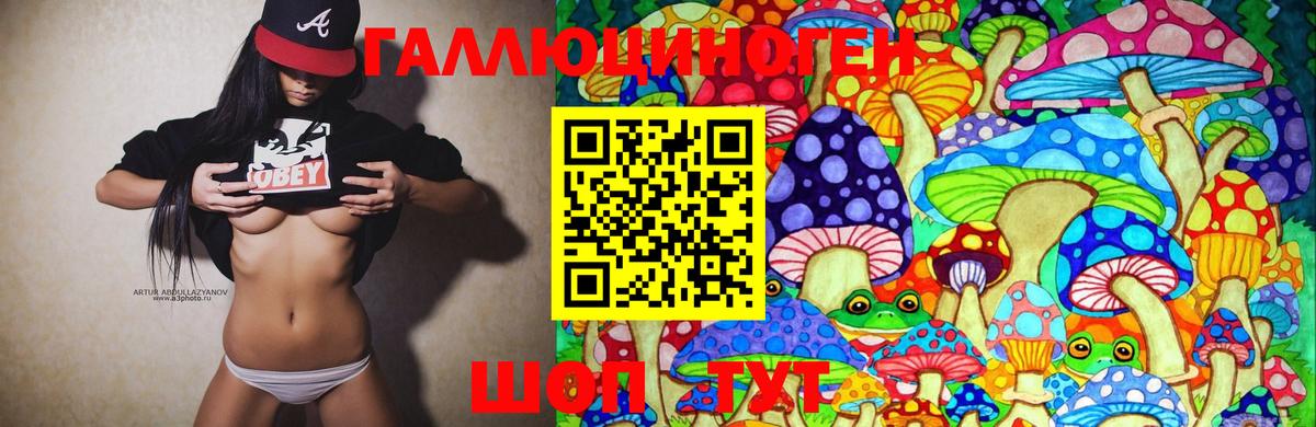 Псилоцибиновые грибы GOLDEN TEACHER Кудрово