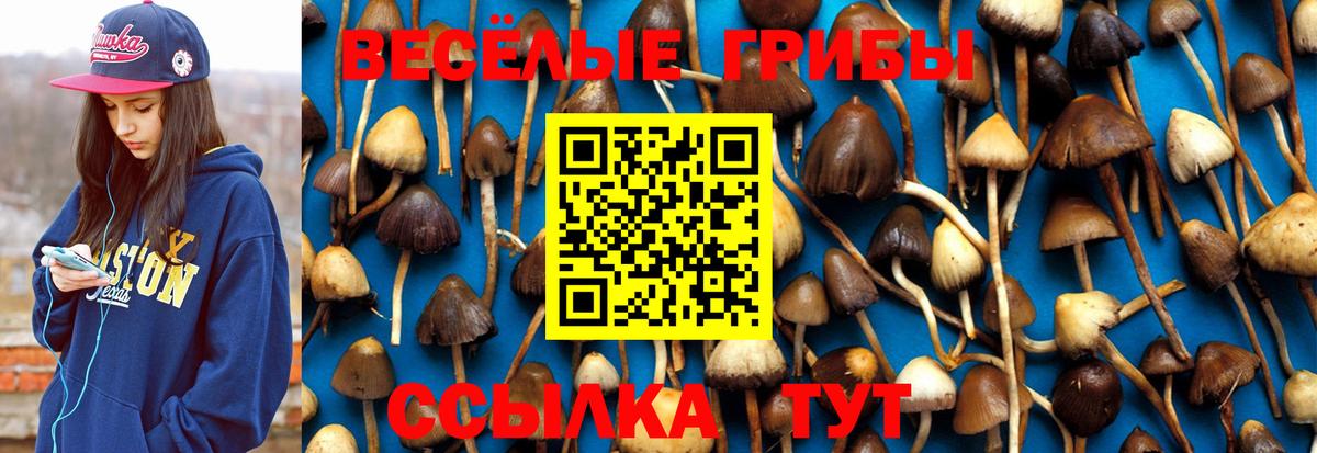 Кудрово  Псилоцибиновые грибы Cubensis  дарнет шоп  Галлюциногенные грибы ЛСД  Вход с VPN 